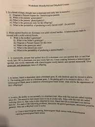 These two traits are independent of each other. Solved Worksheet Monohybrid And Dihybrid Crosses 1 In A Chegg Com