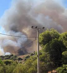May 27, 2021 · σε εξέλιξη είναι η πυρκαγιά στον οικισμό ρουμουντί στην κερατέα, αλλά σύμφωνα με την πυροσβεστική παρουσιάζει βελτιωμένη εικόνα, δεν έχει αέρα στην περιοχή και δεν απειλούνται σπίτια. B2vwwpeablltlm