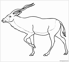 However, unlike the cheetah's short bursts of speed, the pronghorn also has great endurance. Sahara Desert Animals Drawing Novocom Top