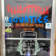 ELLICOTTVILLE AQUATICS