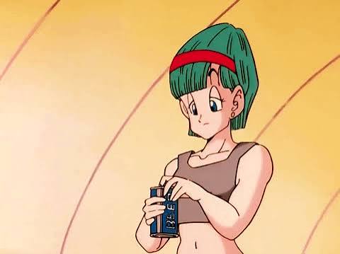 Bulma Brief