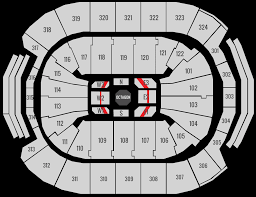 Ufc 231 Tickets Packages Contender Ufc Vip Experience