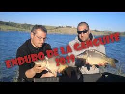 Pour contacter le bureau : Lac De La Ganguise Grand Lac Public Aude 11 Colinmaire Net