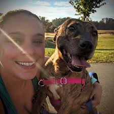 Dog needs help to reach 5k followers