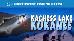 Kachess Beacon Loop Trail, Washington - 128 Reviews, Map | Alltrails