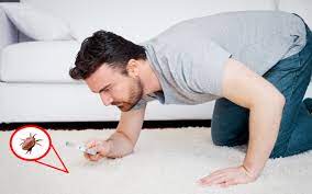 Das wirbelt automatisch die (staubige) frage auf: Hochsaison Im Herbst Allergie Durch Hausstaubmilben Pta Forum