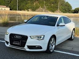 Image result for Glacier White 2013 A5