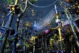 Follow the link to adventures shopping page and add your favorite items to. Blue Mountain Resort Night Time Zip And Climb At Blue Mountain Resort