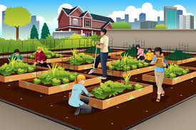 What is a community garden plot? Urban Farm Vs Community Garden What S The Difference Small Axe Peppers