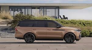 Image result for Dark Brown 2025 Fleet