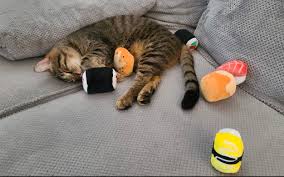 4.2 out of 5 stars 206. 17 Gift Ideas For That One Friend Whose Pet Lives Better Than You Do Nestia