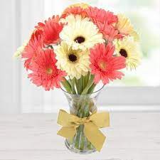 We did not find results for: Send Condolence Gifts To India Condolence Flowers Cake Delivery In India India Online Florist