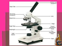 This short article will help you to be an informed consumer and provide you with reputable sources for. Exercise 1 Microscopy Ppt Video Online Download