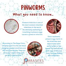Image result for Pinworm