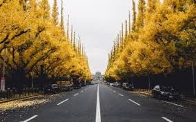 2110 Road Hd Wallpapers Background Images Wallpaper Abyss Picsart for pc is a wonderful photoshop tool for editing your photos in a most magnifying style. road hd wallpapers background images