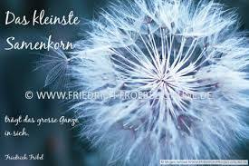 Bildergebnis Fur Spruch Pusteblume Poster Zitate Pusteblume Spruch Weisheiten Spruche