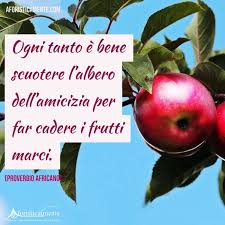 Ma secondo voi, in poche parole, questa amicizia di cui tutti parlano, che cos'è? Frasi Amicizia Le 100 Piu Belle Frasi Sull Amicizia Aforisticamente