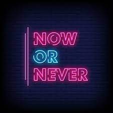 Now Or Never Neon Signboard On Brick Wall Neon Signs Quotes Neon Quotes Neon