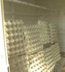 Huhnerstall Schalldicht Machen Schallschutz Selbermachen Huhner Huhnerstall Huhner Im Garten