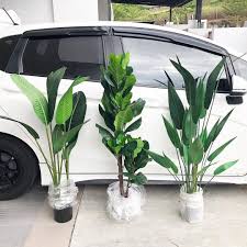 Pokok hiasan dalam rumah #1: Idea Elemen Semulajadi Untuk Hiasan Dalaman Rumah