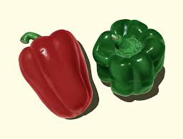 Image result for Capsicum