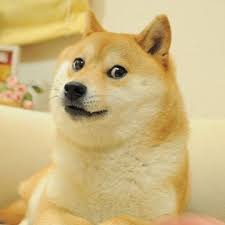 Mining dogecoin alone vs joining dogecoin mining pool vs dogecoin cloud mining. Can You Mine Doge On Your Chromebook