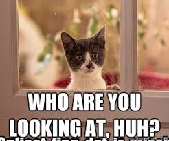 Image result for hi meme