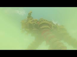 Thousands of camels in south australia will be shot dead from helicopters as a result of extreme heat and drought. Camel Divine Beast Sighting Legend Of Zelda Breath Of The Wild Youtube