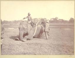 PEOPLE OF INDIA PHOTOS: Old Asian Hunting Photos[HUNTING ANIMALS WAS A HOBBY AND SPORTS FOR THE RULERS-BRITISH]