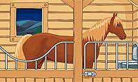 Team Drift Cats A Free Girl Game On Girlsgogames Com Horse Games Free Girl Games Games For Girls