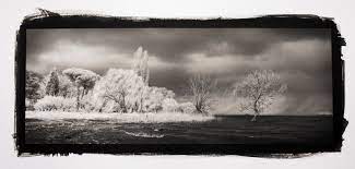 We did not find results for: Platinum Palladium Prints Artigianal Black And White Prints