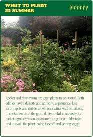 Check out menards garden center and learn how to take care of your garden, plants and lawn with great how to articles and useful information. The Garden Centre Selfridges Guide To Selfridges