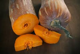 La pianta di zucca gialla è caratterizzata da un fusto rampicante, foglie lobate a forma di cuore e fiori gialli lagenaria siceraria: Zucca Hokkaido Flick On Food