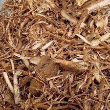 Image result for Tabernanthe