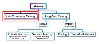 Short Term Memory Dynamicbrain