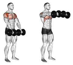 The front raise is a weight training exercise. How To Build Your Front Deltoids With Dumbbell Front Raises