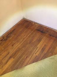 If you find black mold on the carpet you can assume that it is probably affecting the padding beneath. What S The Best Way To Get Rid Of Black Spots Under Carpet On Wood Floors That S Not Mold Woodflooring