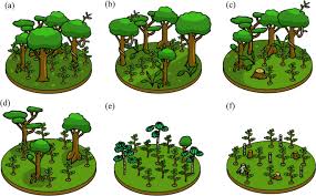 Image result for Antrocaryon nannanii