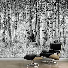 Drucke eigene designs auf stoffen, tapeten und geschenkpapieren mit spoonflower schon ab schwarz und weiß,grau,espe,modern,wald tapete,baum,tapete. Birkenwald Tapete Birken Wald Birkenwald Wald Tapete