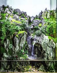 Aquascaping Contest Aga 2018 Winners Aquascapinglove Com Akuarium Hidroponik Taman Miniatur