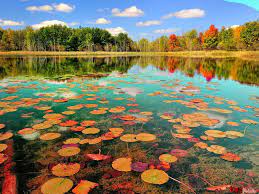 Find an inspiring nature wallpaper and download it for free in hd and 4k quality. Autumn Beautiful Images Nature Nature Desktop Wallpaper Nature Desktop