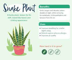 May 07, 2019 · rather than watering the soil and root system, you can apply compost tea directly to plant leaves! Plants With Benefits Love The Garden