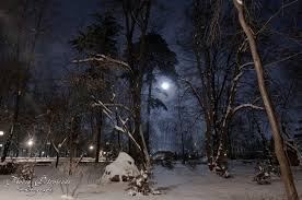 Check spelling or type a new query. Parcul Mihai Eminescu Noapte De Iarna Florin Petrosceac