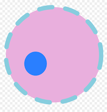 Maybe you would like to learn more about one of these? Clipart At Getdrawings Com Plant Cell Nucleus Png Transparent Png Vhv