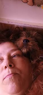 Has anyone successfully house trained a Yorkie?