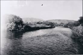 A Celebration of Connecting through Prose, Poetry, and Art