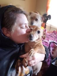 Making a new hoodie and leggings with hidden dog design