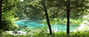 Image result for spring