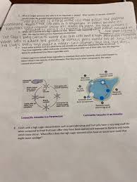 How do animal cells plant cells freshwater protists and bacteria deal with osmosis. To 5 What Is Turgor Pressure And Why Is It So Chegg Com
