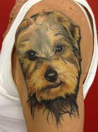 This is four of five combinations i tried. 15 Of The Best Yorkshire Terrier Tattoo Ideas Ever Petpress